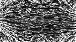 image: image from pencils