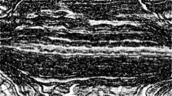 image: image from sketch effects 1