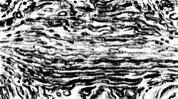 image: image from sketch effects 1