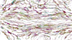 image: image from sketch effects 1