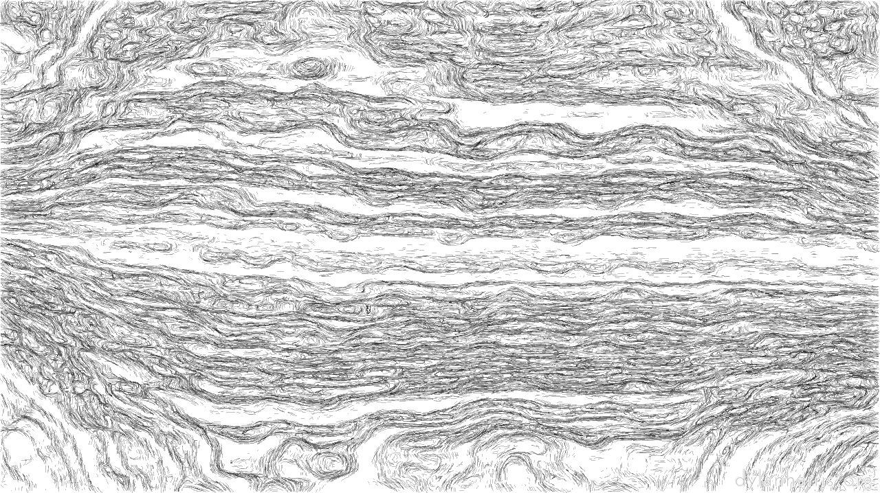 image: sketch soft with pen :: sketch2