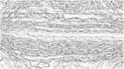 image: image from sketch soft with pen