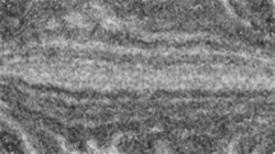 image: default thumbnail