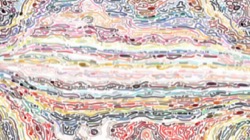 image: image from soft styles