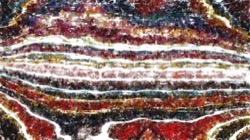 image: image from sprays