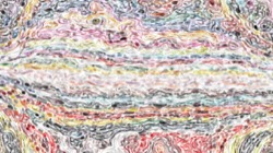 image: image from vibrant textures