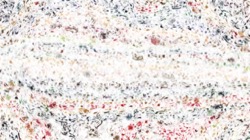 image: image from vibrant textures