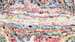 image: image from vibrant textures