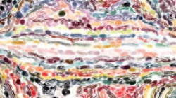 image: image from vibrant textures