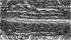 image: image from autopaint