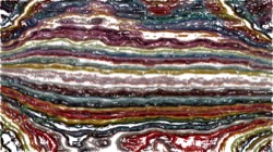 image: image from autopaint