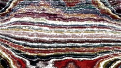 image: image from autopaint