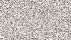 image: image from image brushes