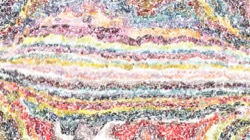 image: image from proc texture