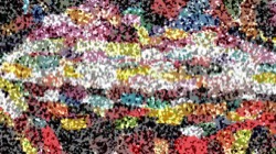 image: image from rough