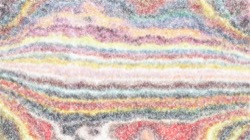 image: image from sponges