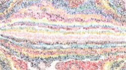 image: image from sponges