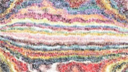 image: image from sponges