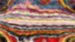 image: image from sponges