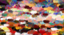 image: image from sponges