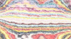 image: image from sponges