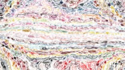 Image: image from watercolour wet