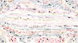 Image: image from watercolour wet