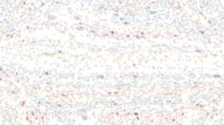 Image: image from watercolour wet