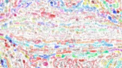 image: image from wet