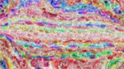 image: image from wet