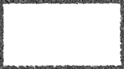 image: image from borders