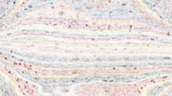 image: image from density effects