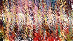 image: speciality thumbnail