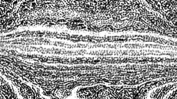 image: image from litho