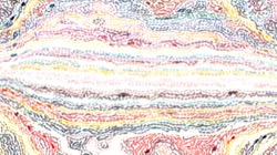 image: image from litho