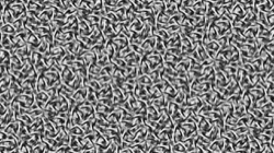 image: image from misc examples