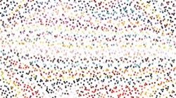 image: image from region draw examples