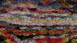 image: image from region draw examples