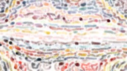 image: image from cd media presets 2002