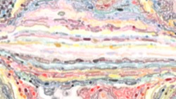 image: image from cd media presets 2002