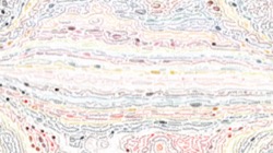 image: image from cd media presets 2002