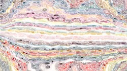 image: image from cd media presets 2002