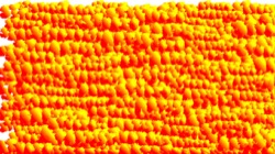 image: image from chuck's autodraw region as brush