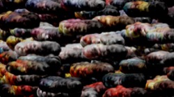 image: image from chuck's beta test 1