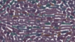 image: image from chuck's beta test 1