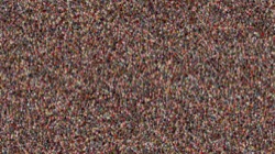 image: users thumbnail