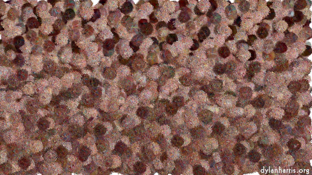 image: chuck's shooting stars :: icestorm