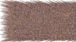 image: image from chuck's shooting stars