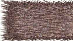 image: image from chuck's shooting stars