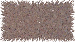 image: image from chuck's shooting stars